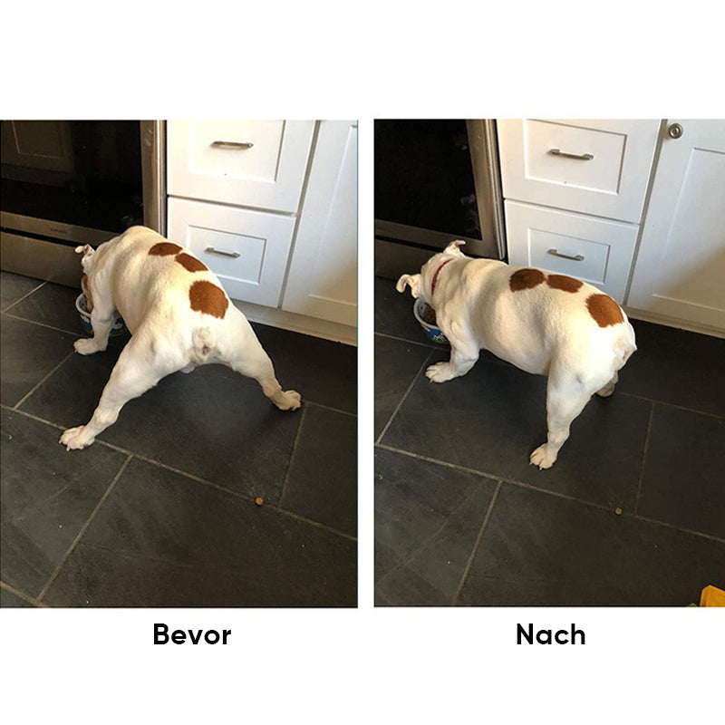 Frendorf | (1 Satz mit 4 Stück) Schutz für Hundepfoten