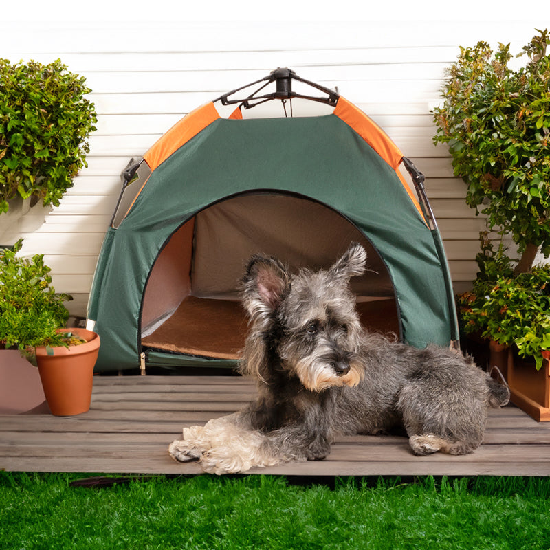 Frendorf | Outdoor Tragbares Camping Zusammenklappbares Hund- & Katzentent