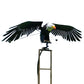 Gartenkunst-Vogel Patioschmuck