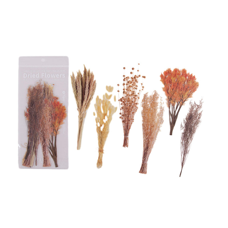 Getrocknete Blumen Aufkleber Set
