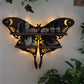 Frendorf | Luna Moth Lampe Kristallregale
