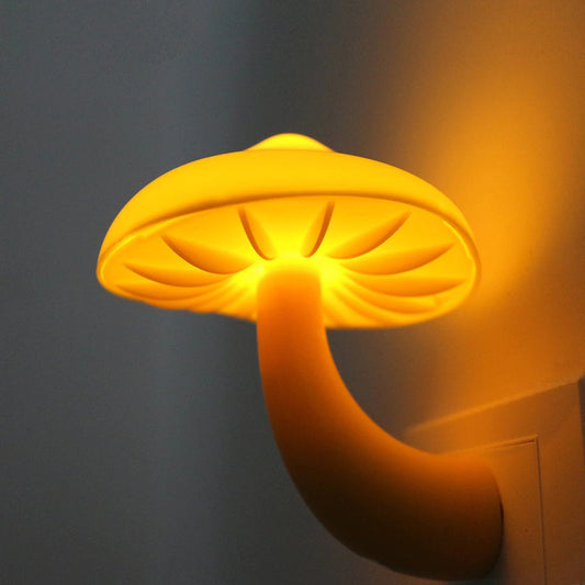 Pilz Wandsteckdosenlicht
