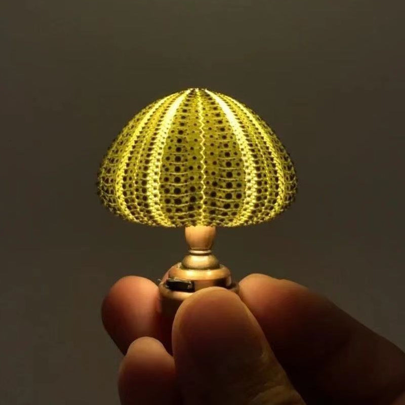 Frendorf | DIY Seeigel Nachtlicht