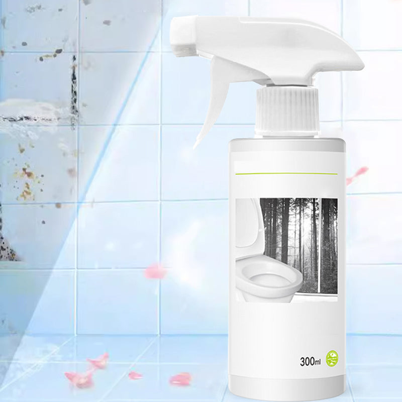 Kraftvolles Reinigungsmittel für Flecken im Toilettenglanz mit Oxalsäure