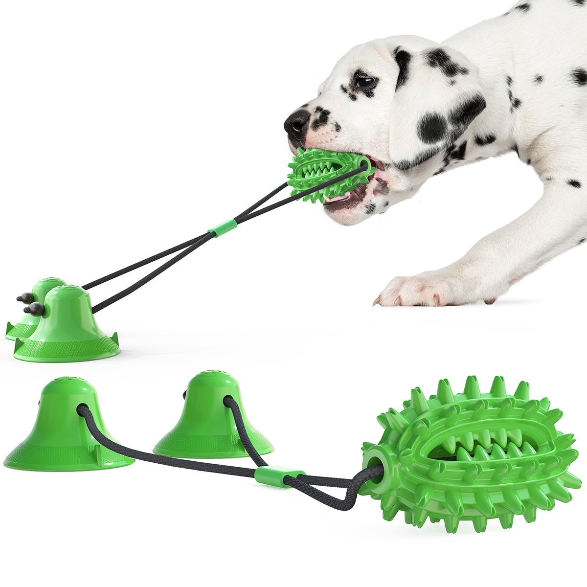Dual‑Suction Kaktus Kauball / Für Hunde