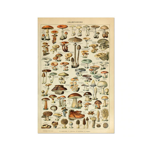Ästhetisches Pilzposter