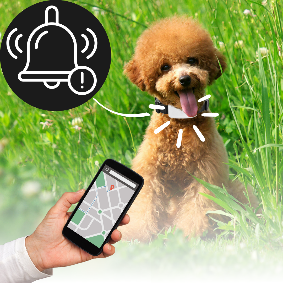 Frendorf | Pet GPS Tracking Collar