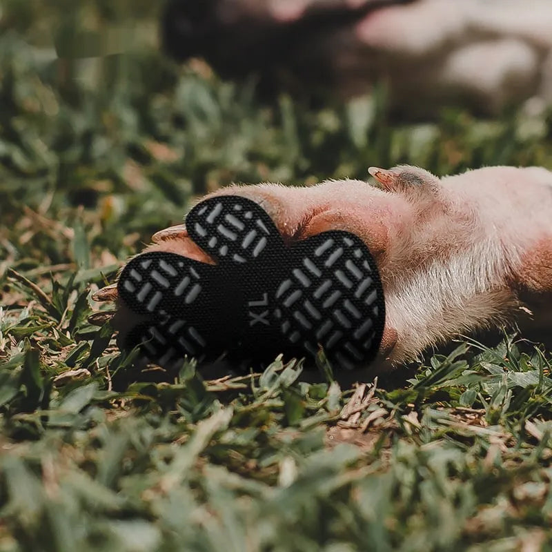 Frendorf | (1 Satz mit 4 Stück) Schutz für Hundepfoten