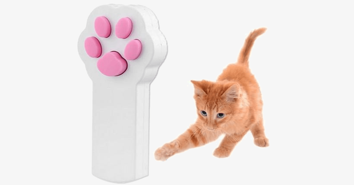 Frendorf | Interaktive automatische rote Laserpointer für Haustiere