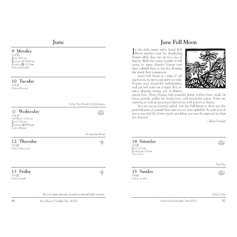 Frendorf | 2025 Hexen-Tagebuch