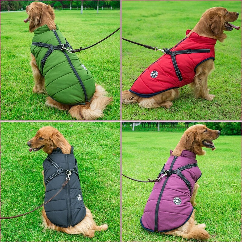 Frendorf | Steppjacke für Hunde mit integriertem Geschirr für Golden Retrievers