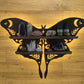 Frendorf | Luna Moth Lampe Kristallregale