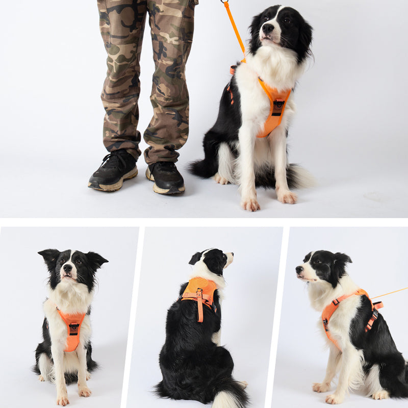 Frendorf | 2 in 1 Geschirr mit integrierter Leine