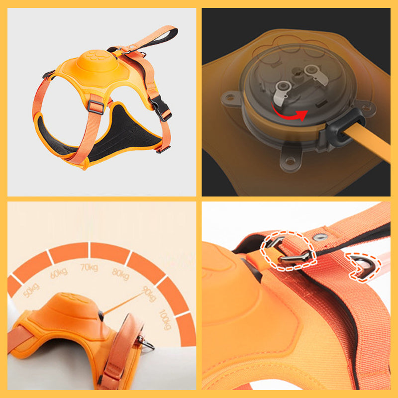 Frendorf | 2 in 1 Geschirr mit integrierter Leine