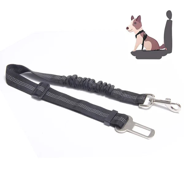 Frendorf |  Sicherheitsgurt für Haustiere