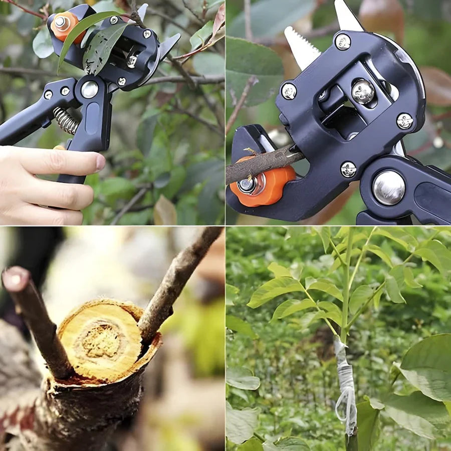 Frendorf | Barea Gartentrimmer