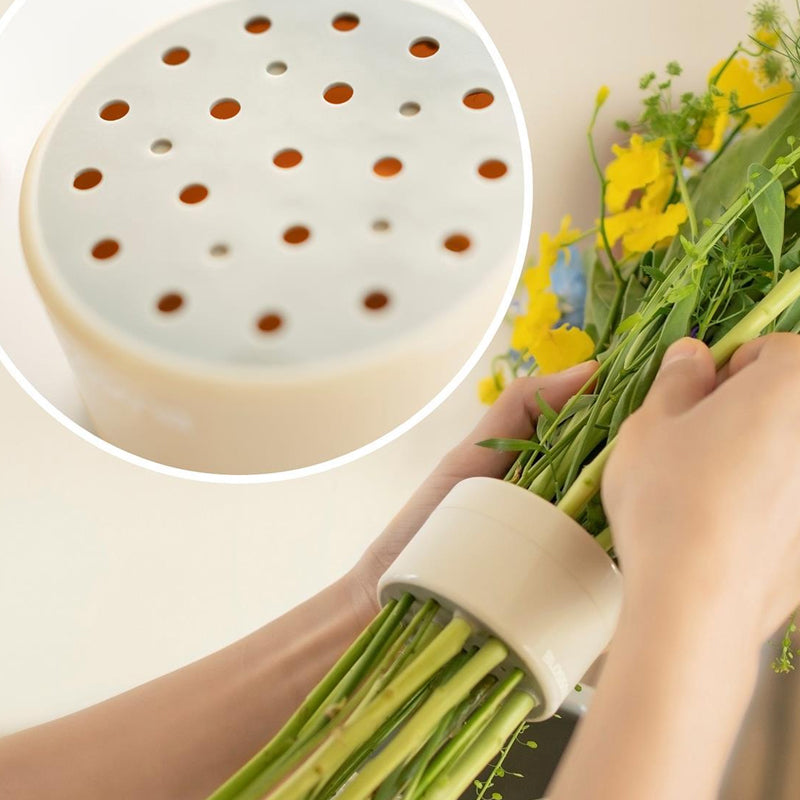 Frendorf | BlumenSpiral