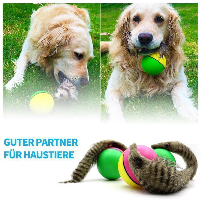 Frendorf | Biber Ball für Haustier