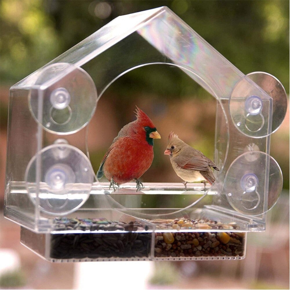 Frendorf | BirdFeeder | Fönster Fågelhus