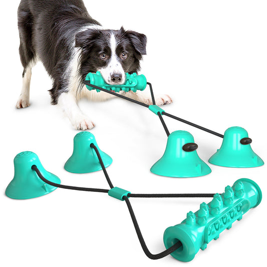 Dual-Suction Zug-Kauspielzeug / Für Hunde