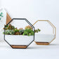 Frendorf | GeoFrame Keramik Wandpflanztopf mit Metallrahmen | Octagon Design