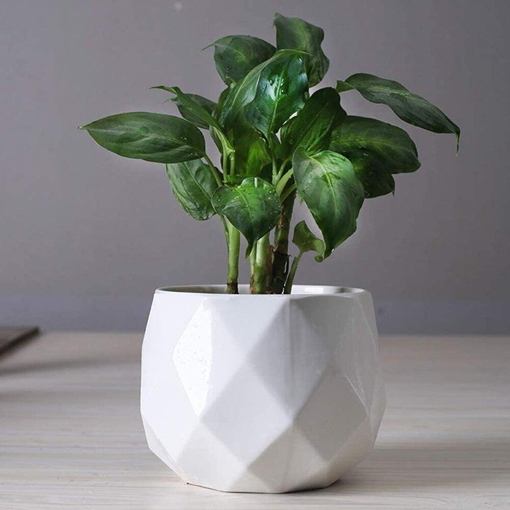 Frendorf | GeoBloom Runde Diamant Keramik Sukkulententöpfe | Modernes Design | Verschiedene Größen