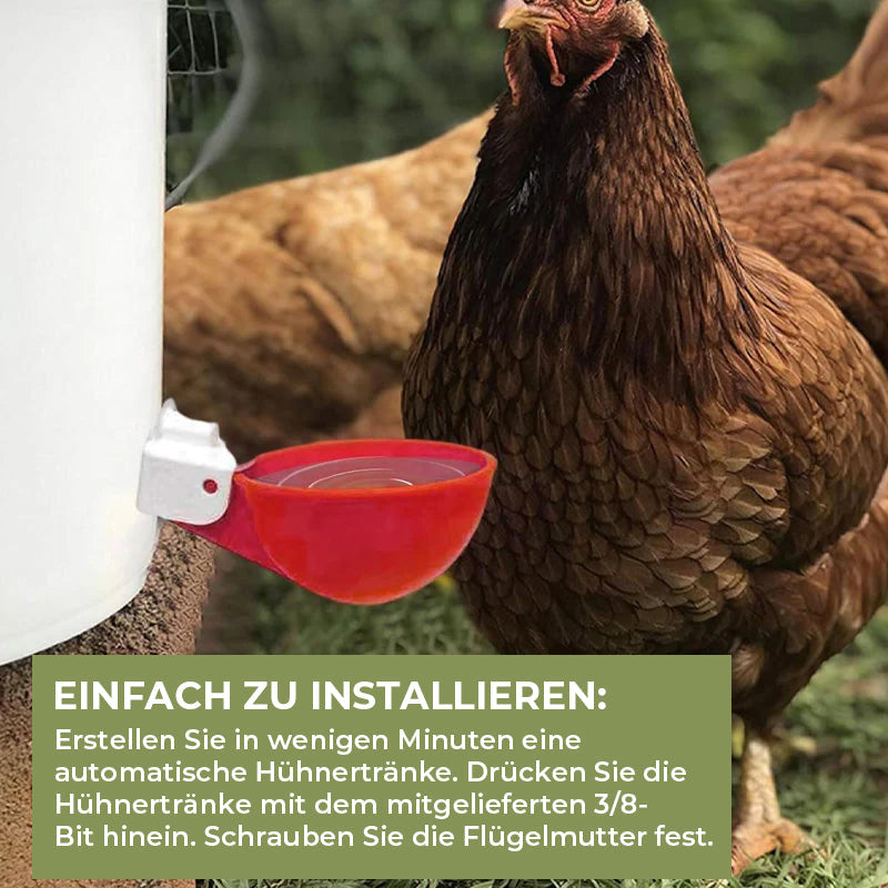 Frendorf | Automatische Hühnertränken (6 Stück)