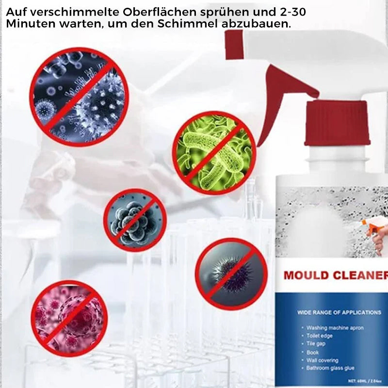 Frendorf | Schimmel-Reinigungsschaum