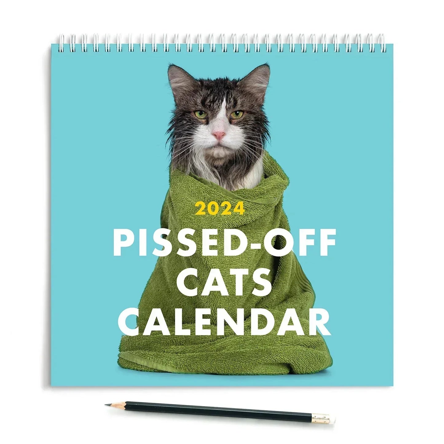 Frendorf | 2025 Verärgerte Katzen Kalender