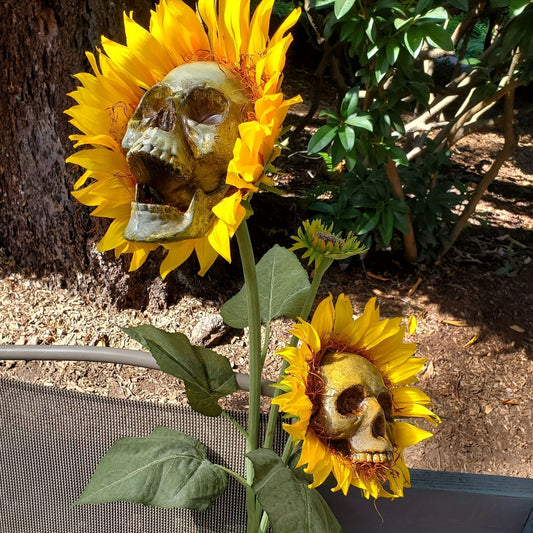 Frendorf | BloomSkull – Die gruselig-schöne Sonnenblume für Halloween!