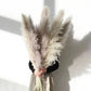 Pampas Getrocknete Blumen