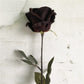 Frendorf | 1pcs Künstliche schwarze Rose