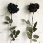 Frendorf | 1pcs Künstliche schwarze Rose