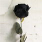 Frendorf | 1pcs Künstliche schwarze Rose