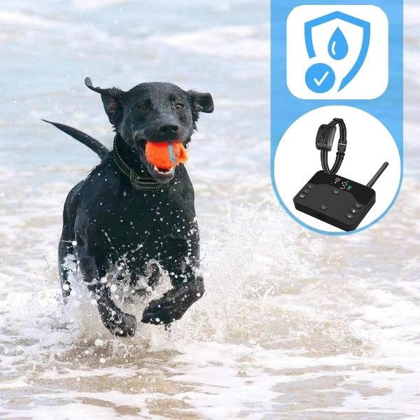 Frendorf | 2-in-1 Wireless Pet Training Halsbänder und Hundezäune Sound Check Elektrische und Vibrationsstoßhalsband Zaun von 65 bis 1640 Fuß