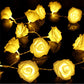 Frendorf | 2er-Pack: 40 LEDs Rosenblüten Lichterkette