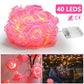 Frendorf | 2er-Pack: 40 LEDs Rosenblüten Lichterkette