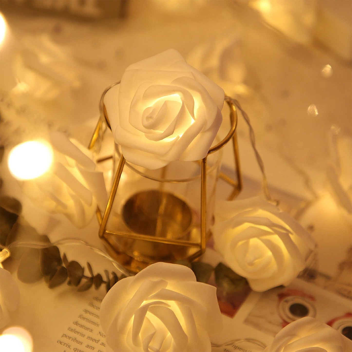 Frendorf | 2er-Pack: 40 LEDs Rosenblüten Lichterkette