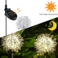 Frendorf | 2-Pack: Outdoor Solar Löwenzahn Rasenlichter