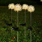 Frendorf | 2-Pack: Outdoor Solar Löwenzahn Rasenlichter