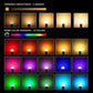 Frendorf | 2-Pack: Smart Home Multi-Color LED A19 Glühbirne 5W