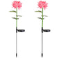 Frendorf | 2-Pack: Solar LED Chrysanthemenlichter