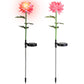 Frendorf | 2-Pack: Solar LED Chrysanthemenlichter