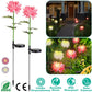 Frendorf | 2-Pack: Solar LED Chrysanthemenlichter