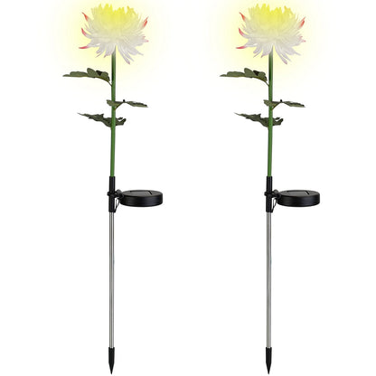 Frendorf | 2-Pack: Solar LED Chrysanthemenlichter