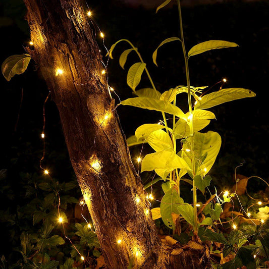Frendorf | 2-teil: 100LED Perlen Lichterkette