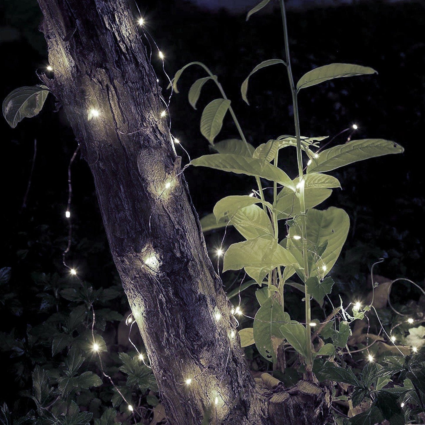 Frendorf | 2-teil: 100LED Perlen Lichterkette