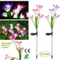 Frendorf | 2-Teile: Solar Gartenlichter Außen