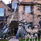 Frendorf | 200" Halloween-Spinnennetz und 59" Riesen-Spinnen-Dekoration