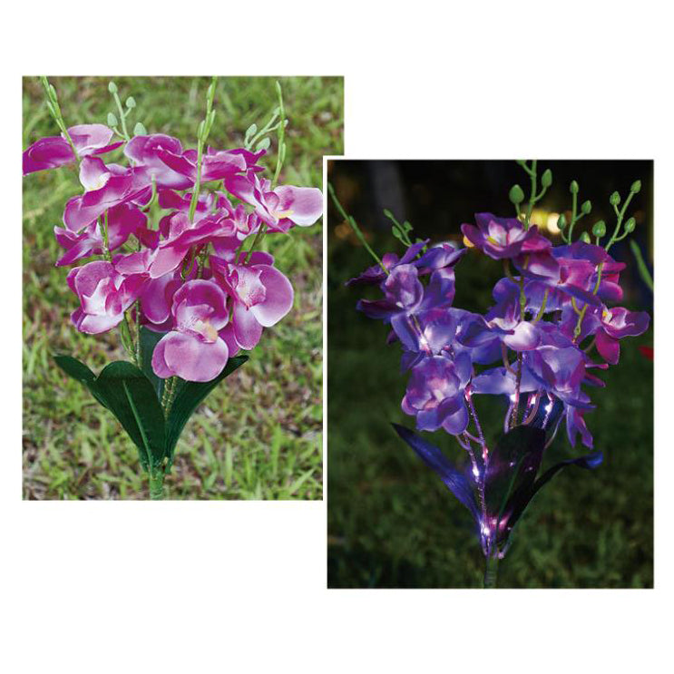 Moderne Kreative Simulation Phalaenopsis Solar LED Außen Patio Rasen Boden Einstich Landschaftslicht